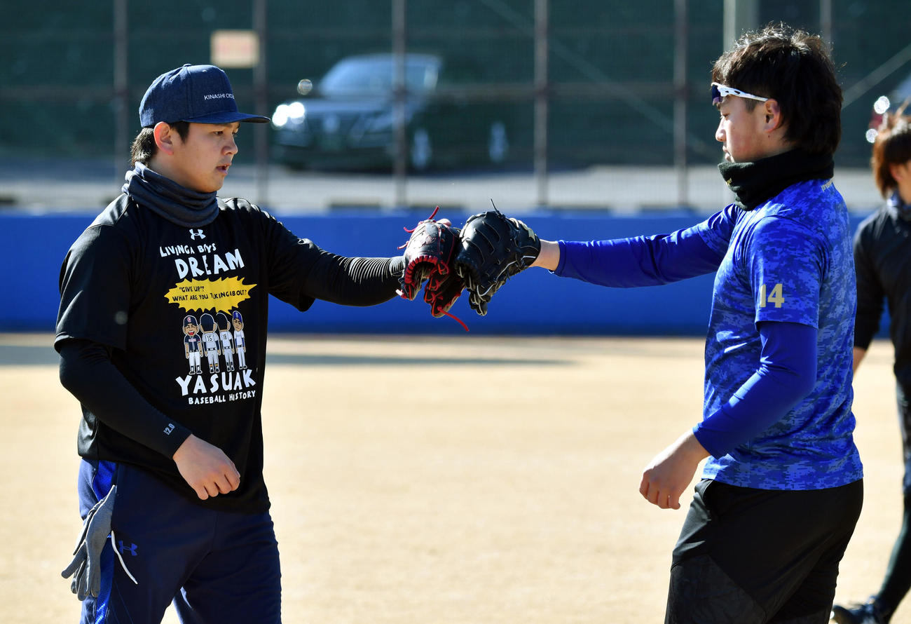 合同自主トレーニングのキャッチボールを終えグラブを合わすDeNA山崎（左）と石田（2018年1月10日撮影）