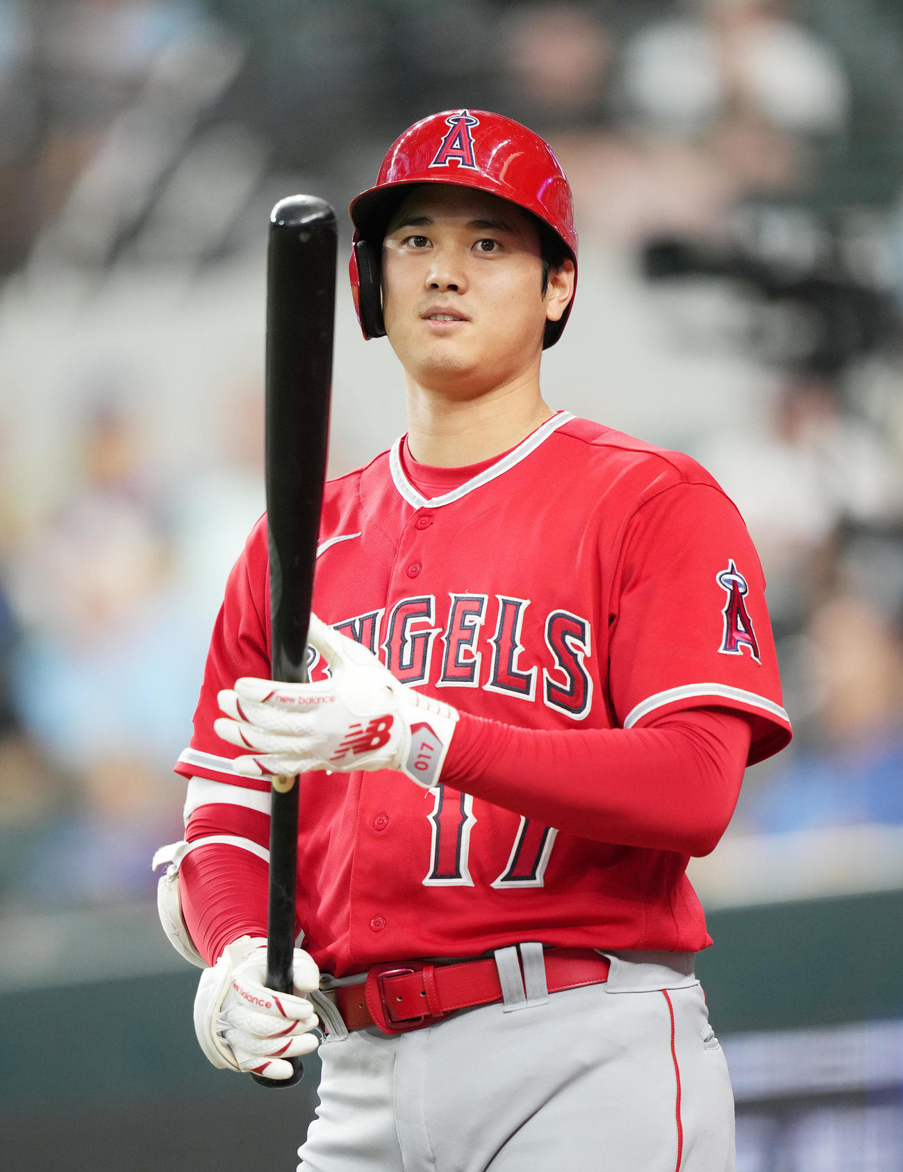バットを見つめる大谷翔平（2023年8月16日撮影）