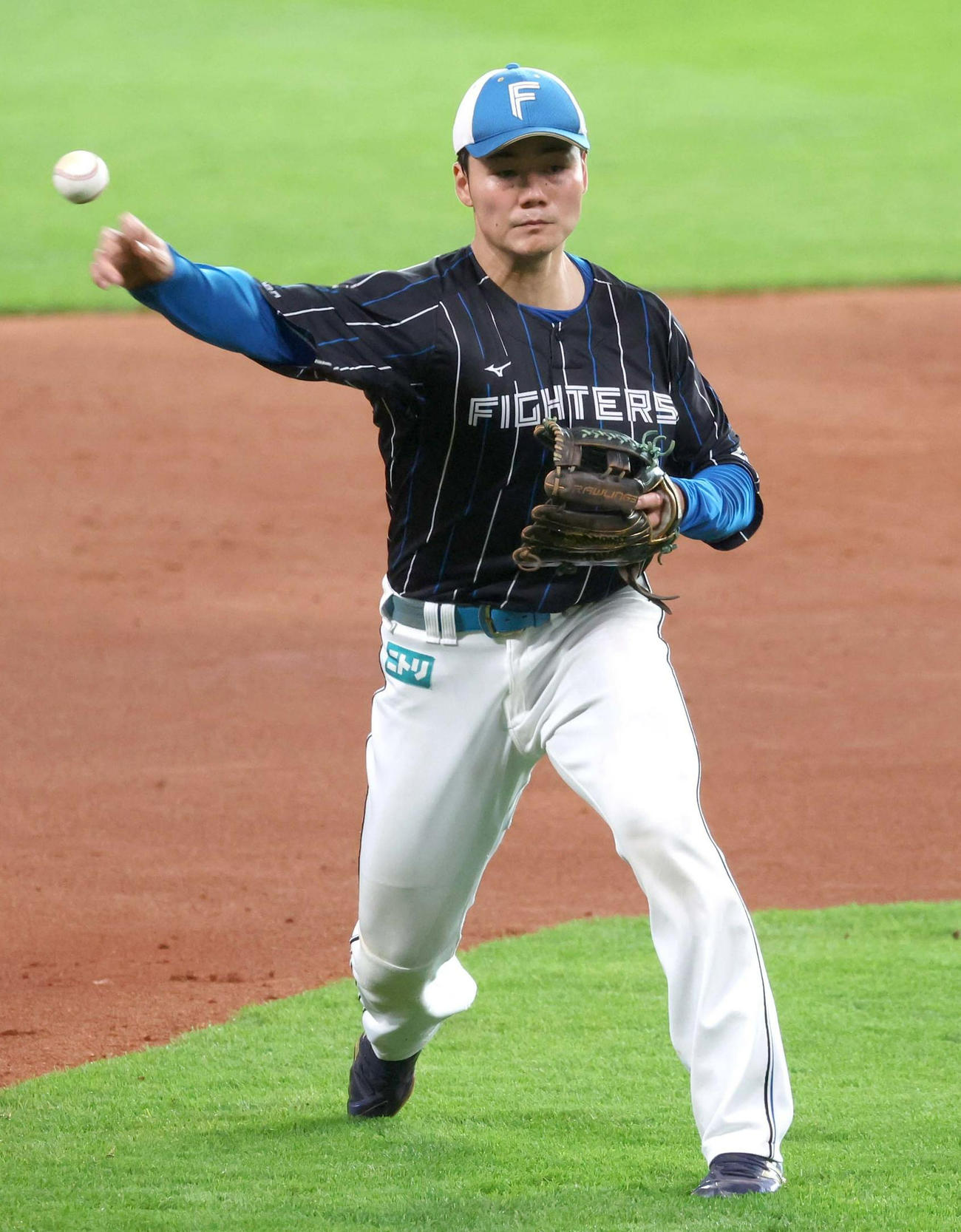 日本ハム清宮幸太郎（2023年11月12日撮影）