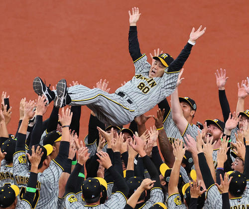11月5日、日本一となり胴上げされる阪神岡田監督(撮影・上田博志)