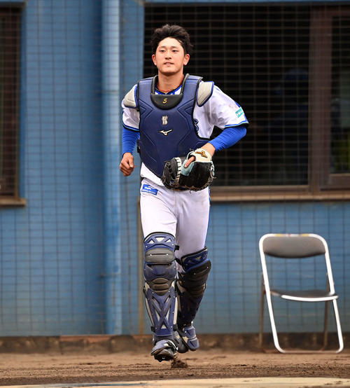 キャッチャー用プロテクター 戸柱選手実使用 戸柱 プロ野球 キャッチャー プロテクター DeNA戸柱選手 実使用マスク