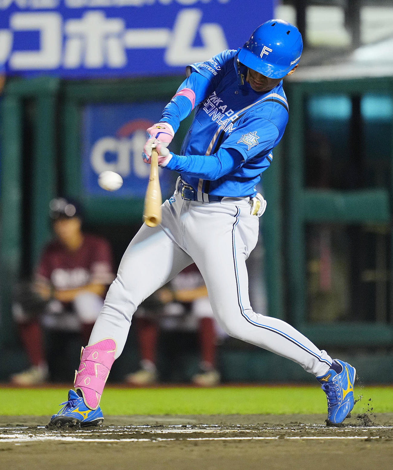 日本ハム加藤豪将（2023年9月22日撮影）