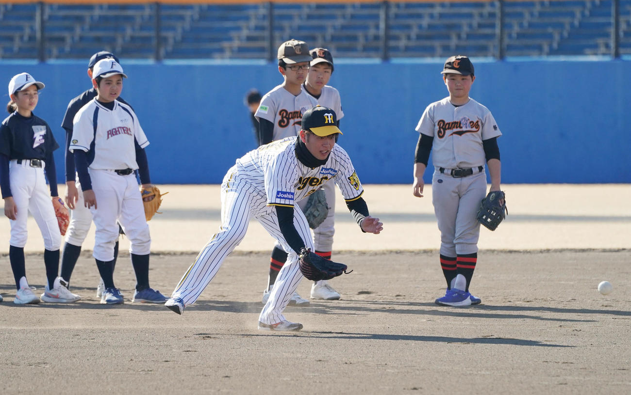 野球教室に参加し子どもたちにゴロ捕球のアドバイスをする高橋（手前）（撮影・森本幸一）