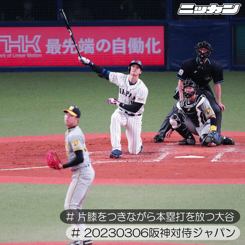 3月6日、阪神との強化試合で片膝をつきながら本塁打を放つ侍ジャパン大谷。投手才木（撮影・江口和貴）
