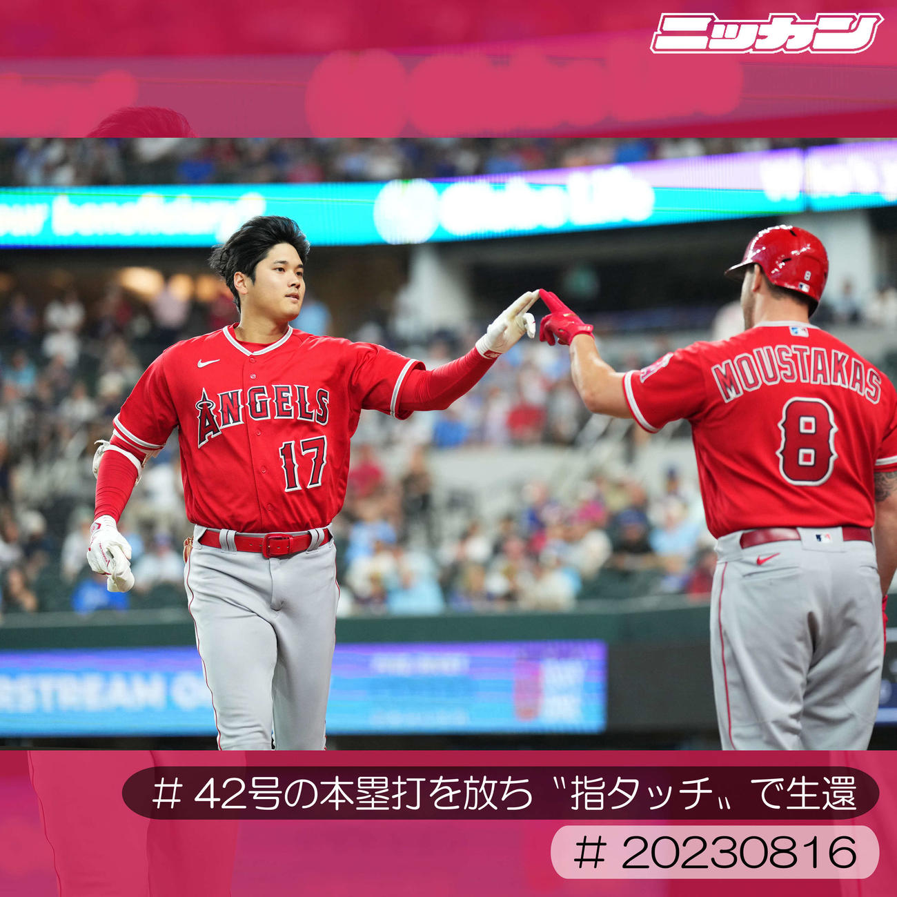 8月16日、レンジャーズ戦で42号ソロ本塁打を放ちムスタカス（右）とタッチを交わす大谷（撮影・菅敏）