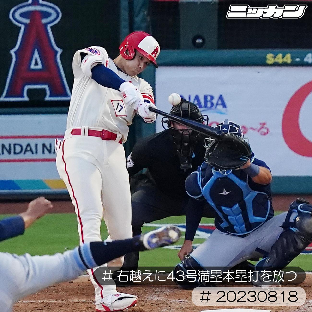 8月18日、レイズ戦で43号満塁本塁打を放つ大谷（撮影・菅敏）