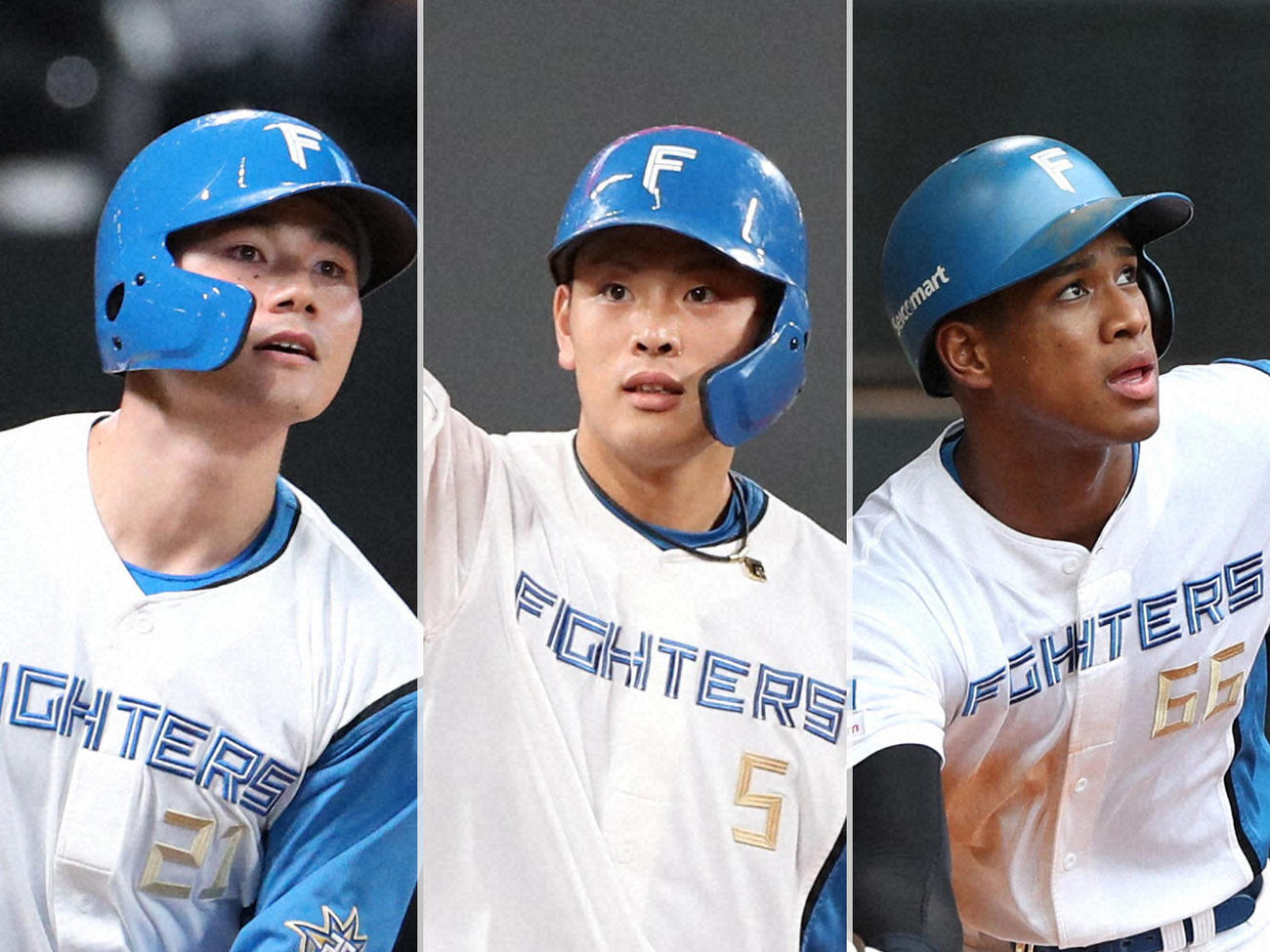 左から清宮幸太郎、野村佑希、万波中正
