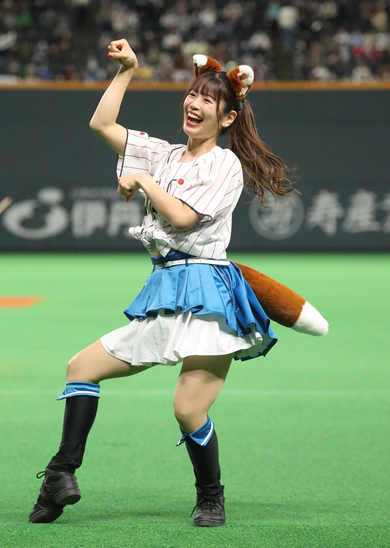 侍ジャパン仕様のコスチュームで「きつねダンス」を踊るファイターズガール滝谷美夢＝2022年11月9日