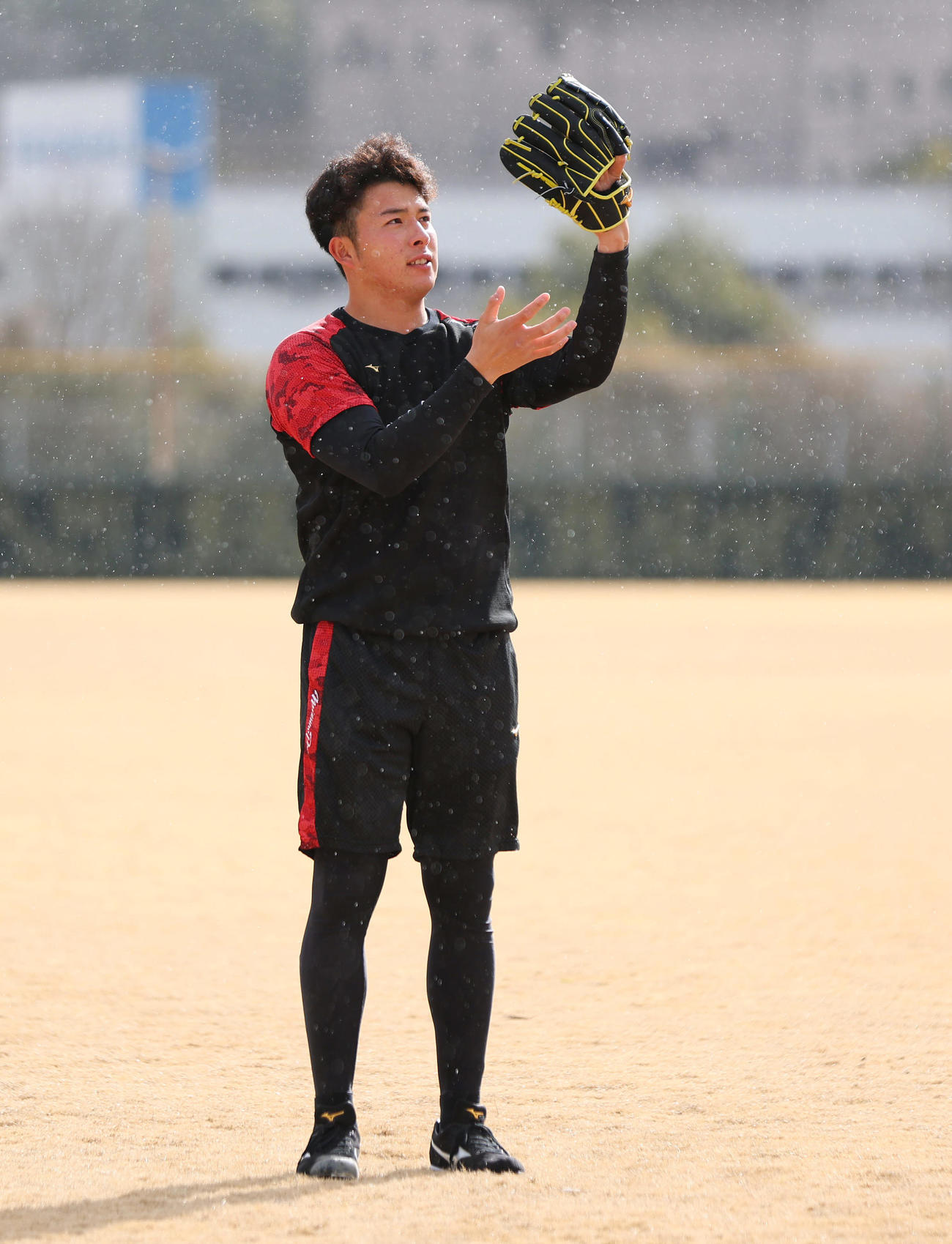 自主トレを公開し、キャッチボールする阪神椎葉（撮影・前田充）