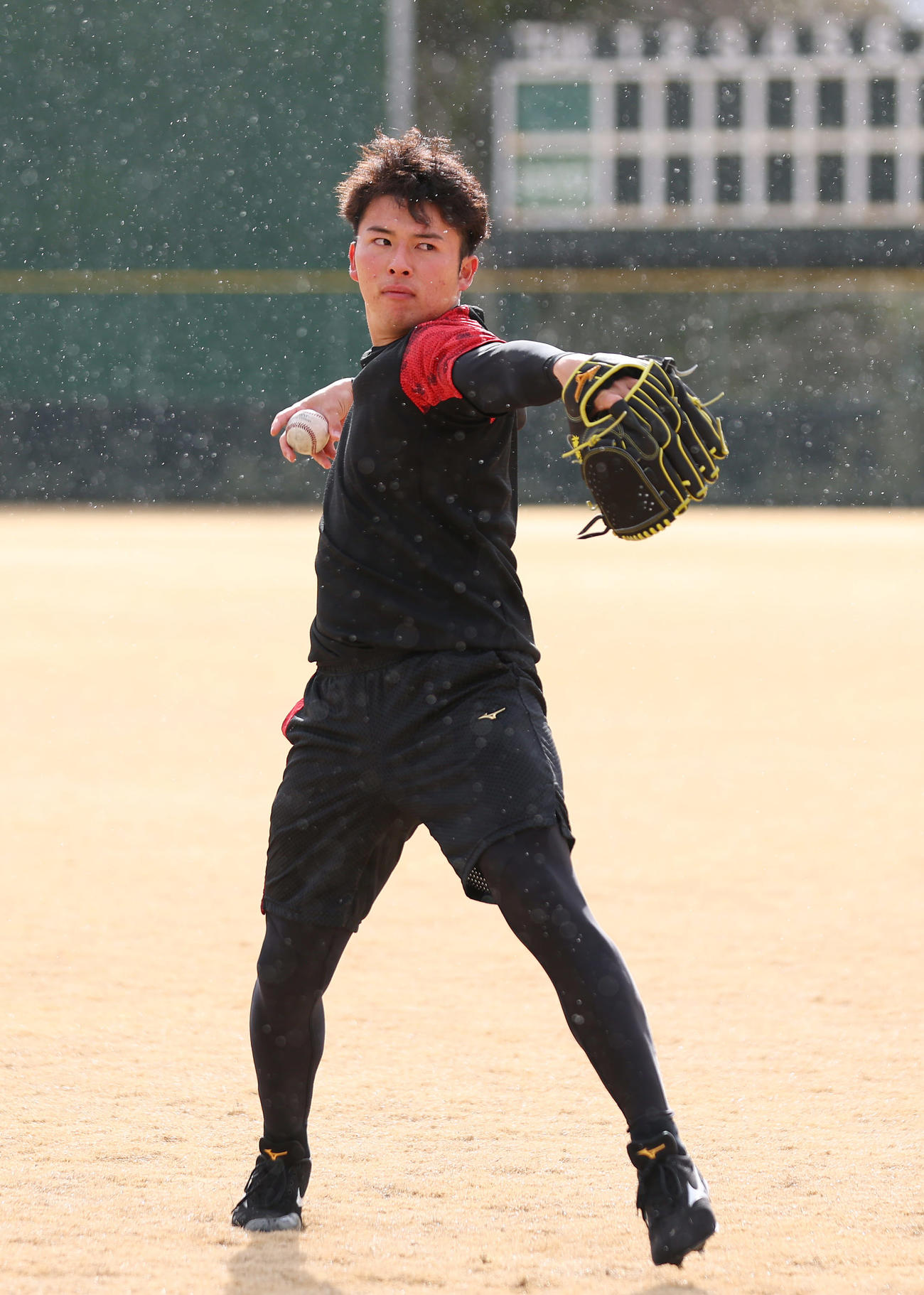 自主トレを公開し、キャッチボールする阪神椎葉（撮影・前田充）