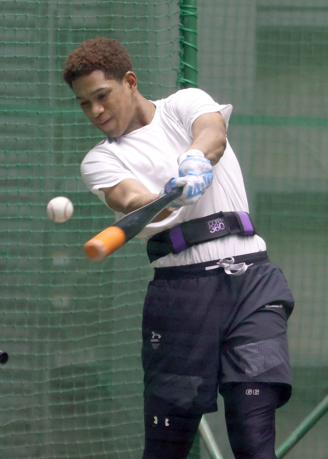 自主トレを公開し打撃練習をする日本ハム万波（撮影・佐藤翔太）