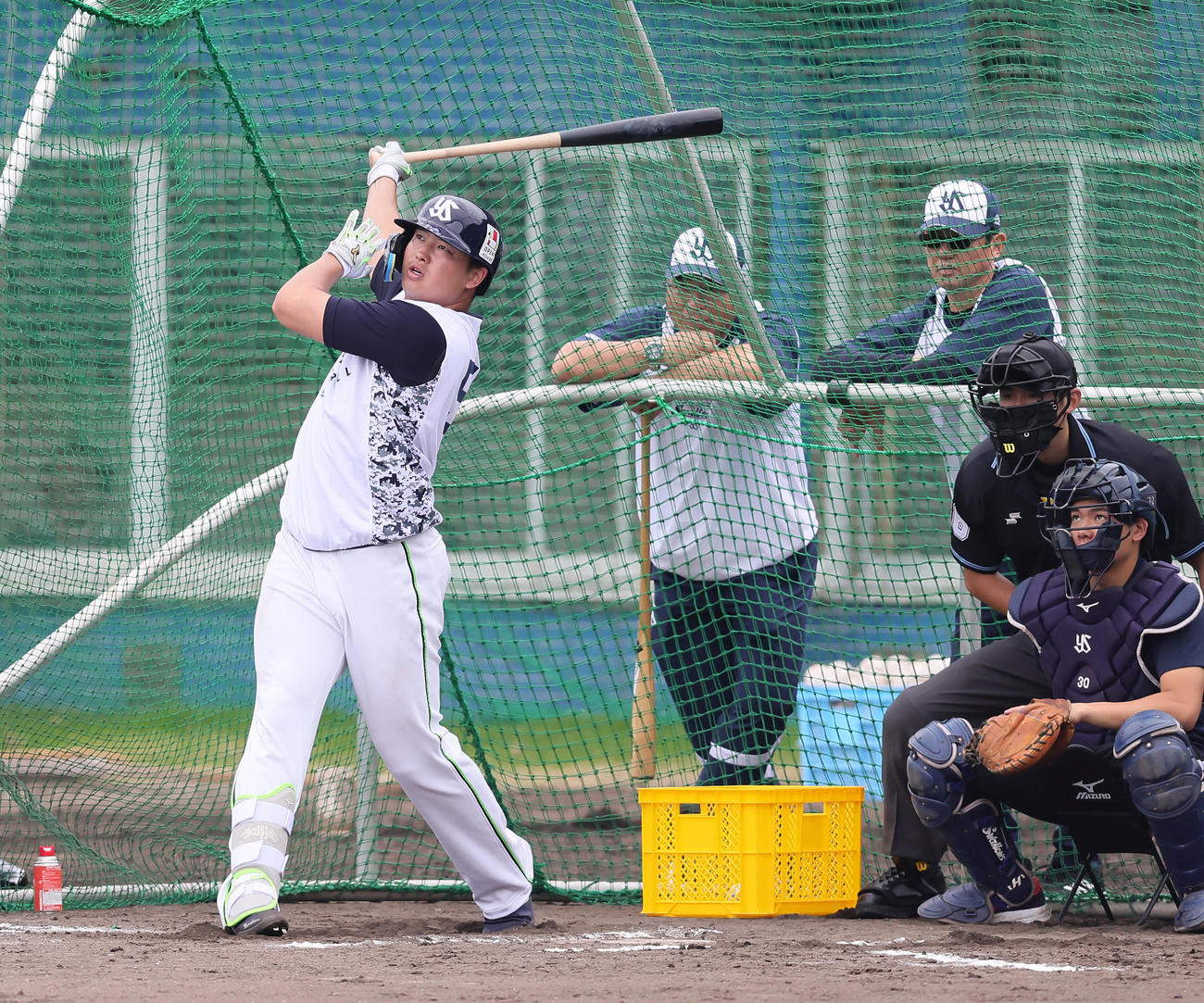 フリー打撃を行うヤクルト村上。後方左は真中臨時コーチ、同右は古田臨時コーチ（2023年2月撮影）