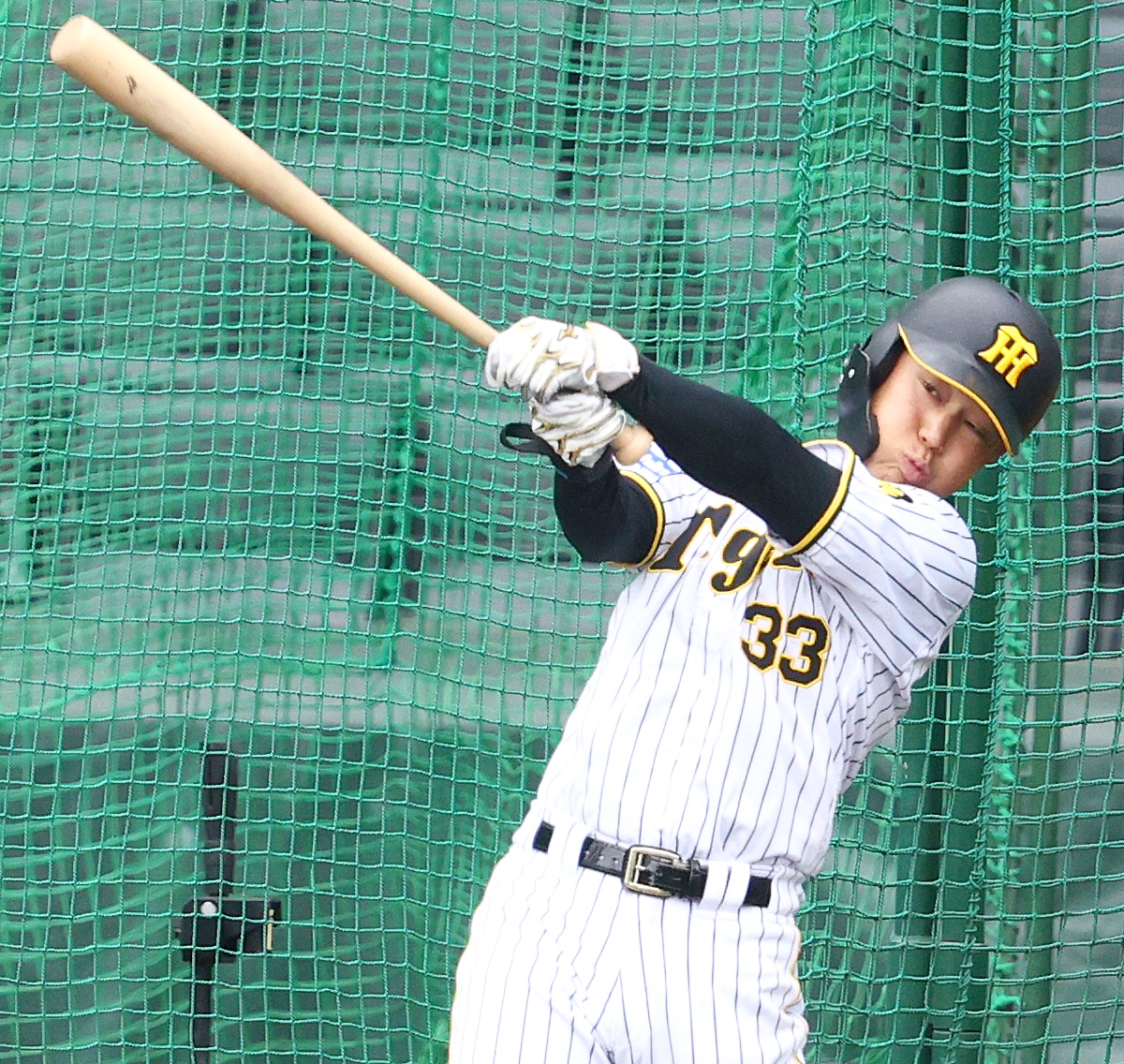 阪神糸原健斗（2023年10月撮影）
