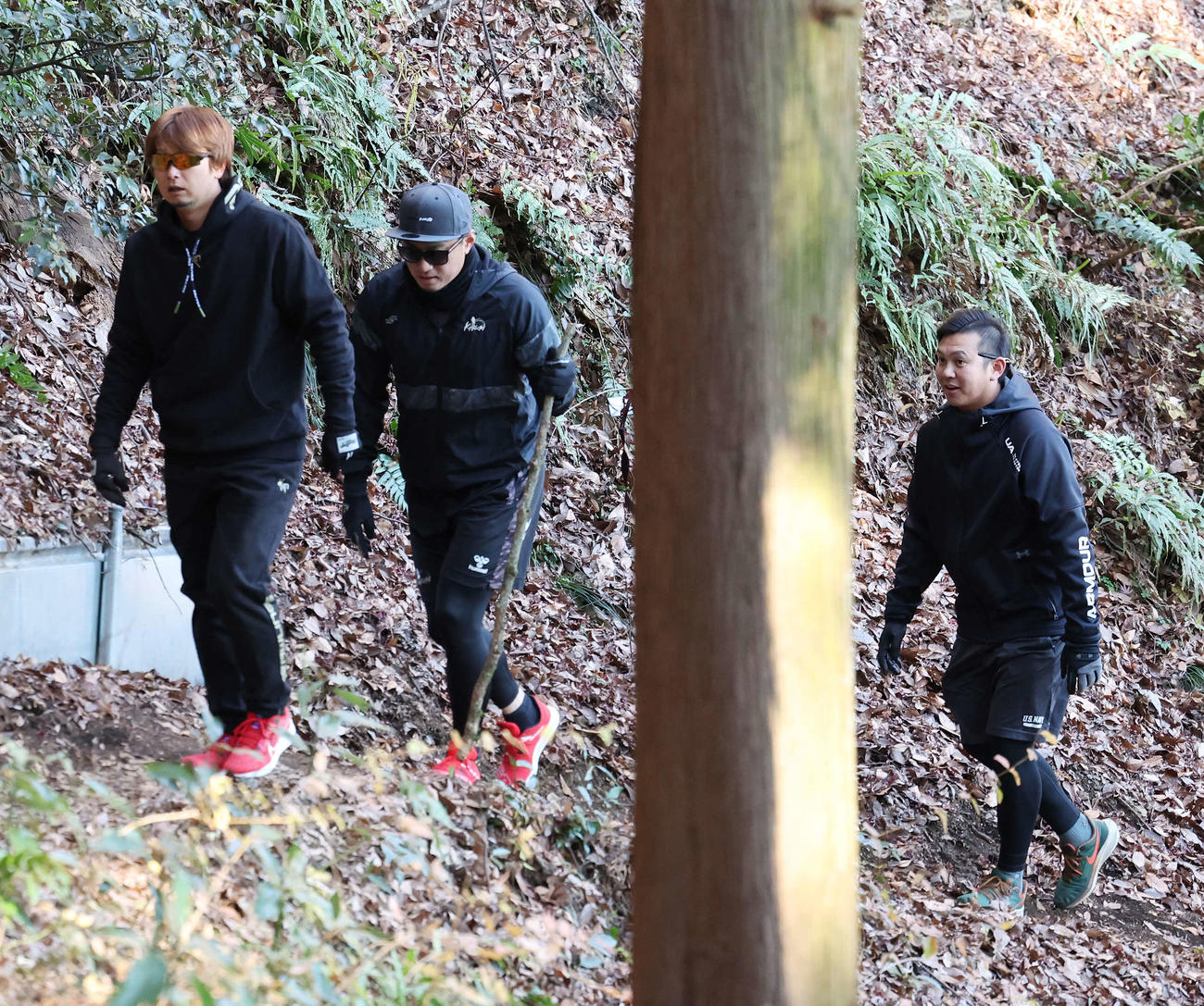 自主トレ前に恒例の山登りを行うDeNA三嶋（左）、石田（中央）、山崎（撮影・宮地輝）