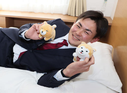 【広島】ドラ５赤塚健利が柴犬ぬいぐるみ“２匹”と入寮「もともと犬好き」クリーム、パンと命名