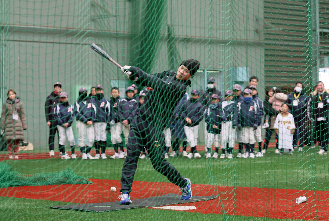 自主トレを公開し打撃練習を行う佐藤輝（撮影・加藤哉）