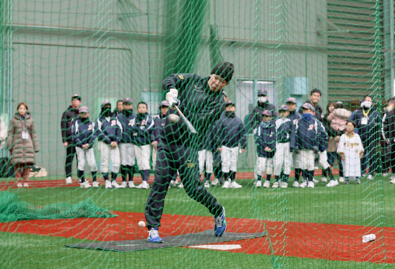 自主トレを公開し打撃練習を行う佐藤輝（撮影・加藤哉）