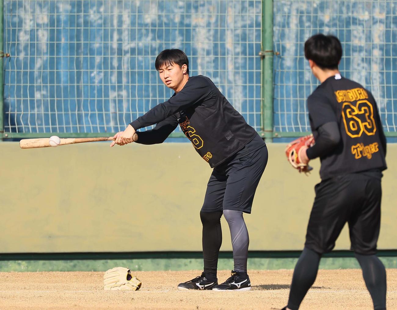 トスバッティングをするドラフト6位の津田（撮影・上田博志）