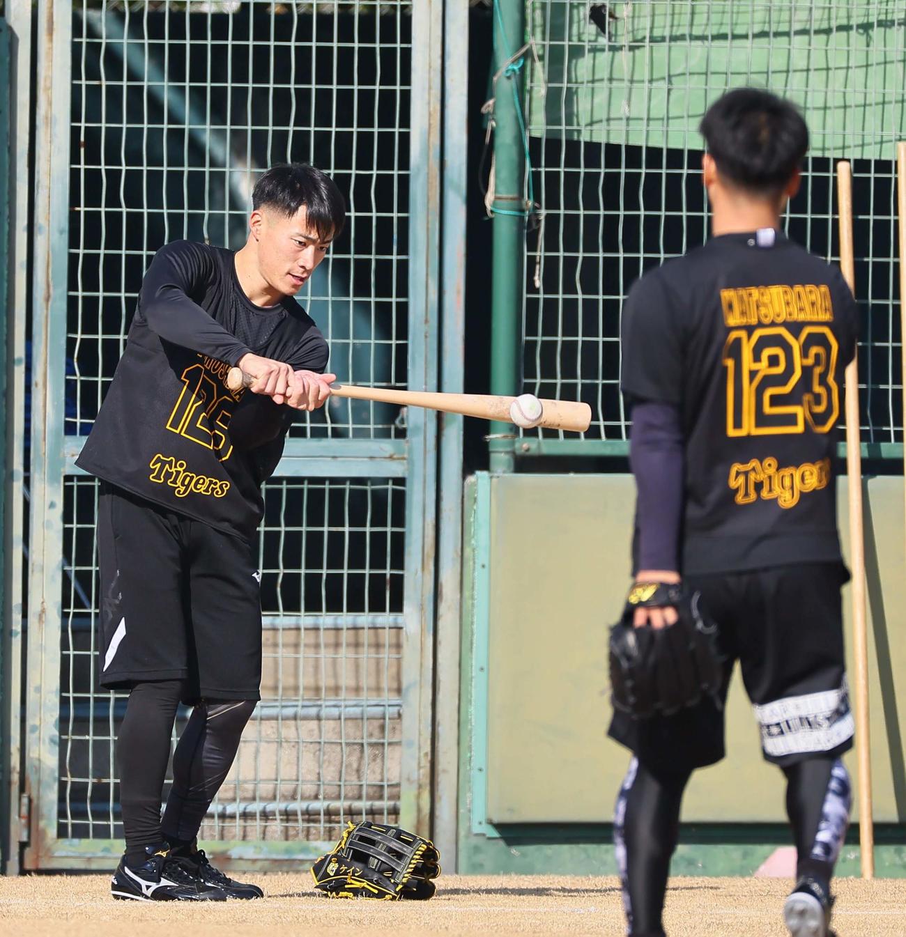 トスバッティングをする育成ドラフト2位の福島（撮影・上田博志）