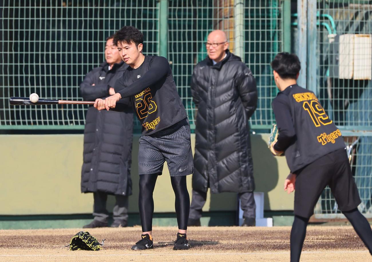 トスバッティングをするドラフト2位の椎葉（撮影・上田博志）
