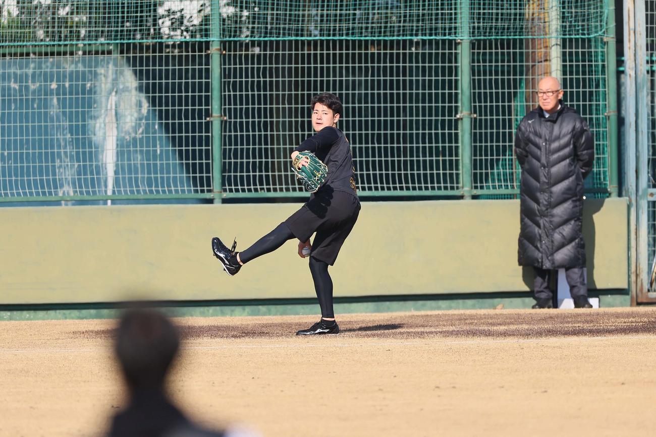 キャッチボールをするドラフト1位の下村海翔の連続写真（撮影・上田博志）