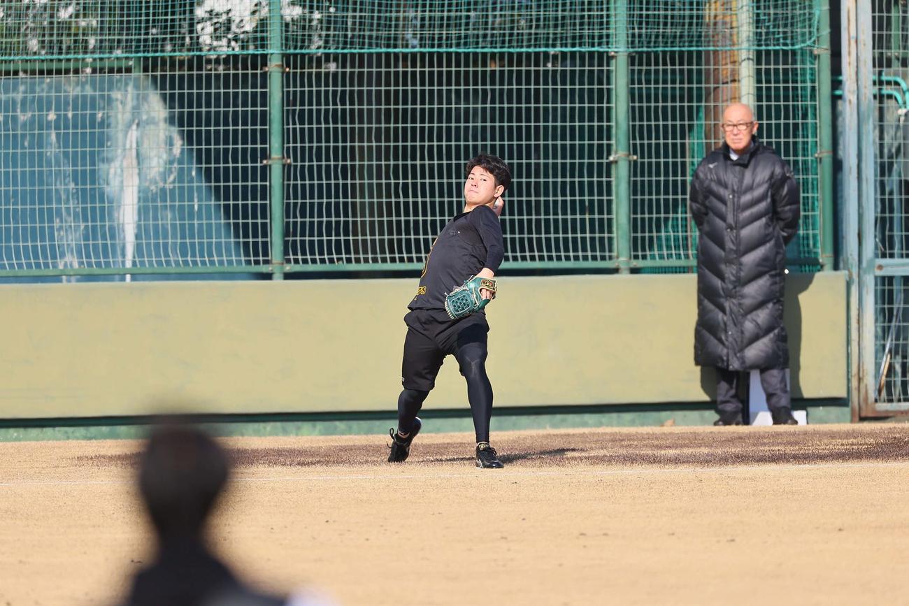 キャッチボールをするドラフト1位の下村海翔の連続写真（撮影・上田博志）