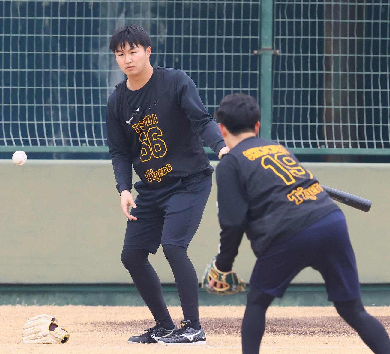 新人合同自主トレでペッパー打撃を行う阪神津田（撮影・上山淳一）