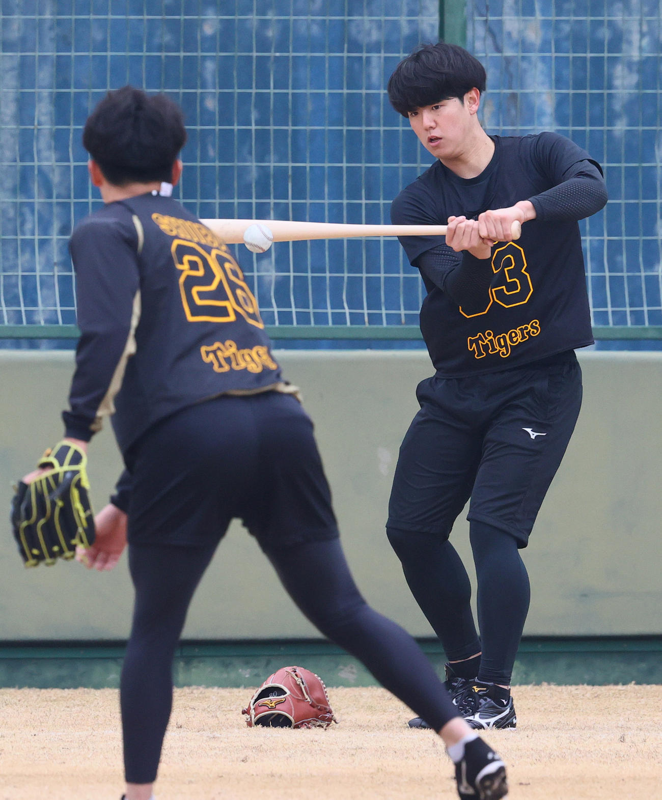 新人合同自主トレでペッパー打撃を行う阪神石黒（撮影・上山淳一）