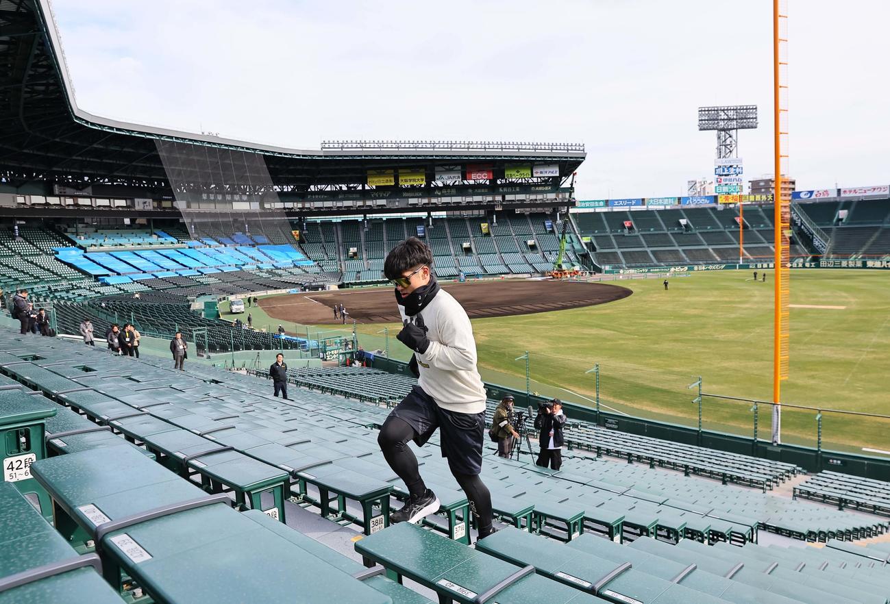 甲子園球場のアルプス席を駆け上がる坂本（撮影・上田博志）