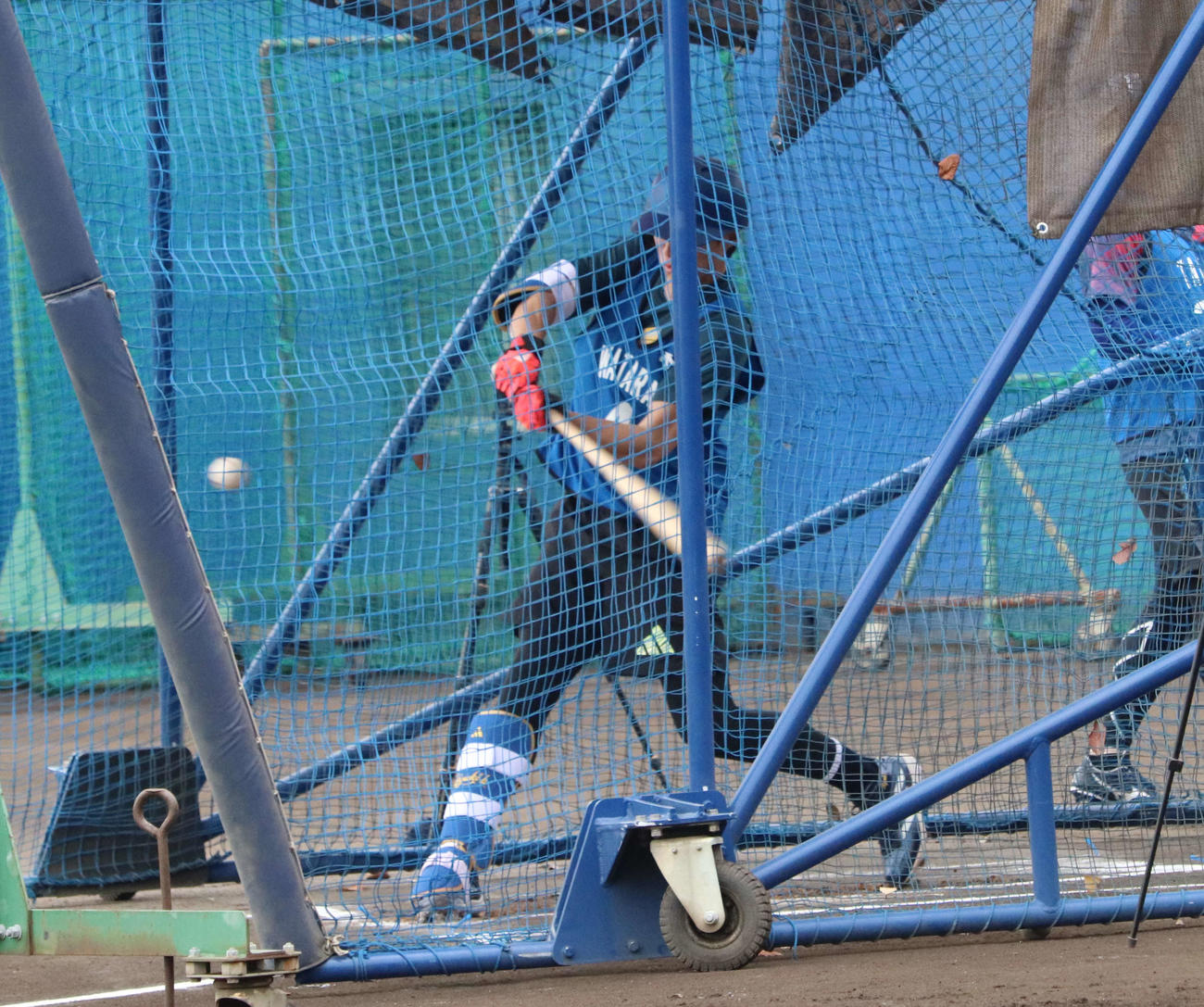 球団施設DOCKで新人合同自主トレに参加し、屋外でフリー打撃を行うDeNAドラフト1位の度会（撮影・小早川宗一郎）