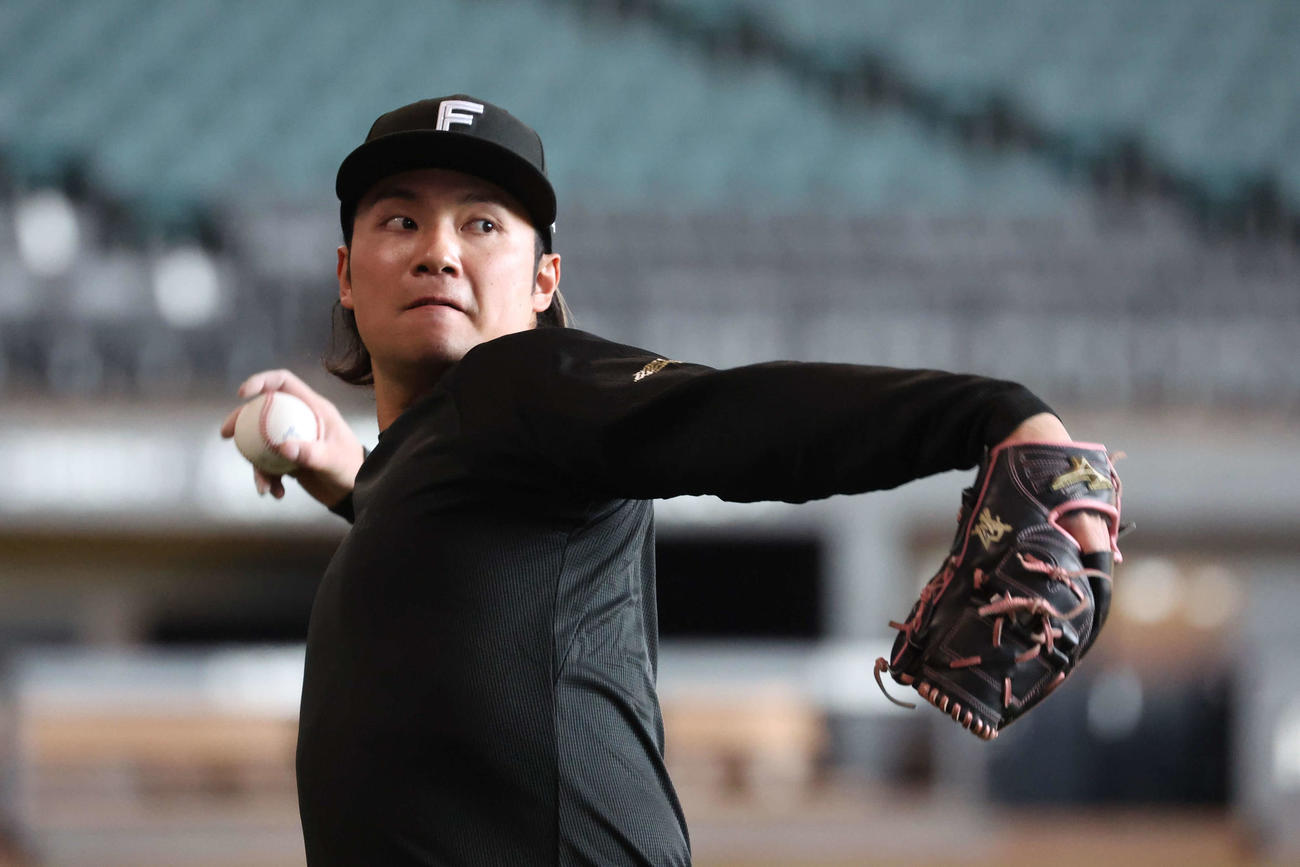 キャッチボールする日本ハム伊藤（撮影・黒川智章）