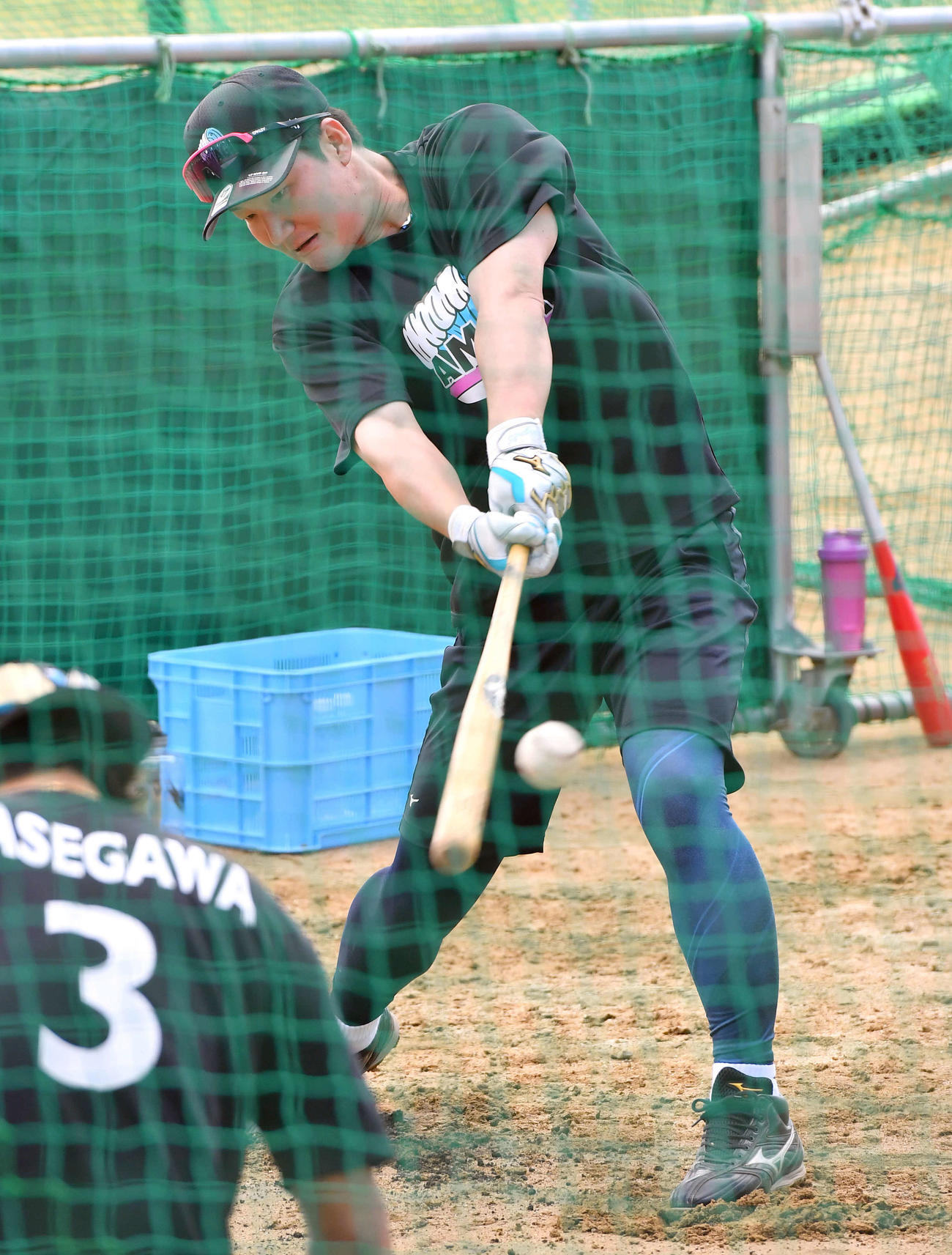 打撃練習を行う阪神渡辺（撮影・岩下翔太）
