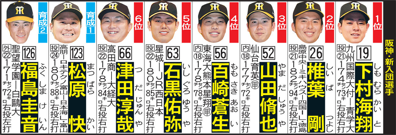 阪神　新入団選手