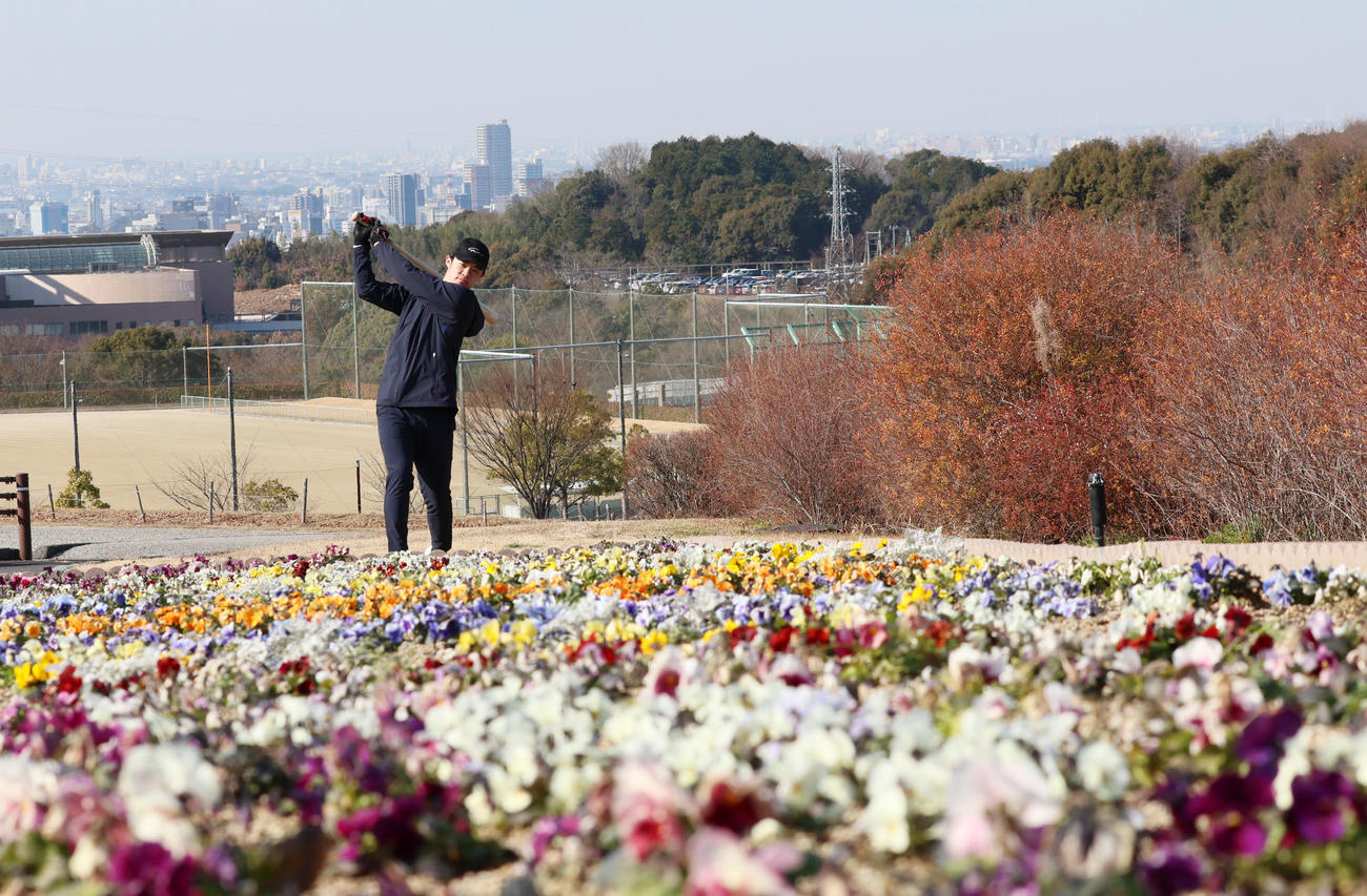 自主トレを公開し岡崎の街を背に素振りを行う中野（撮影・加藤哉）