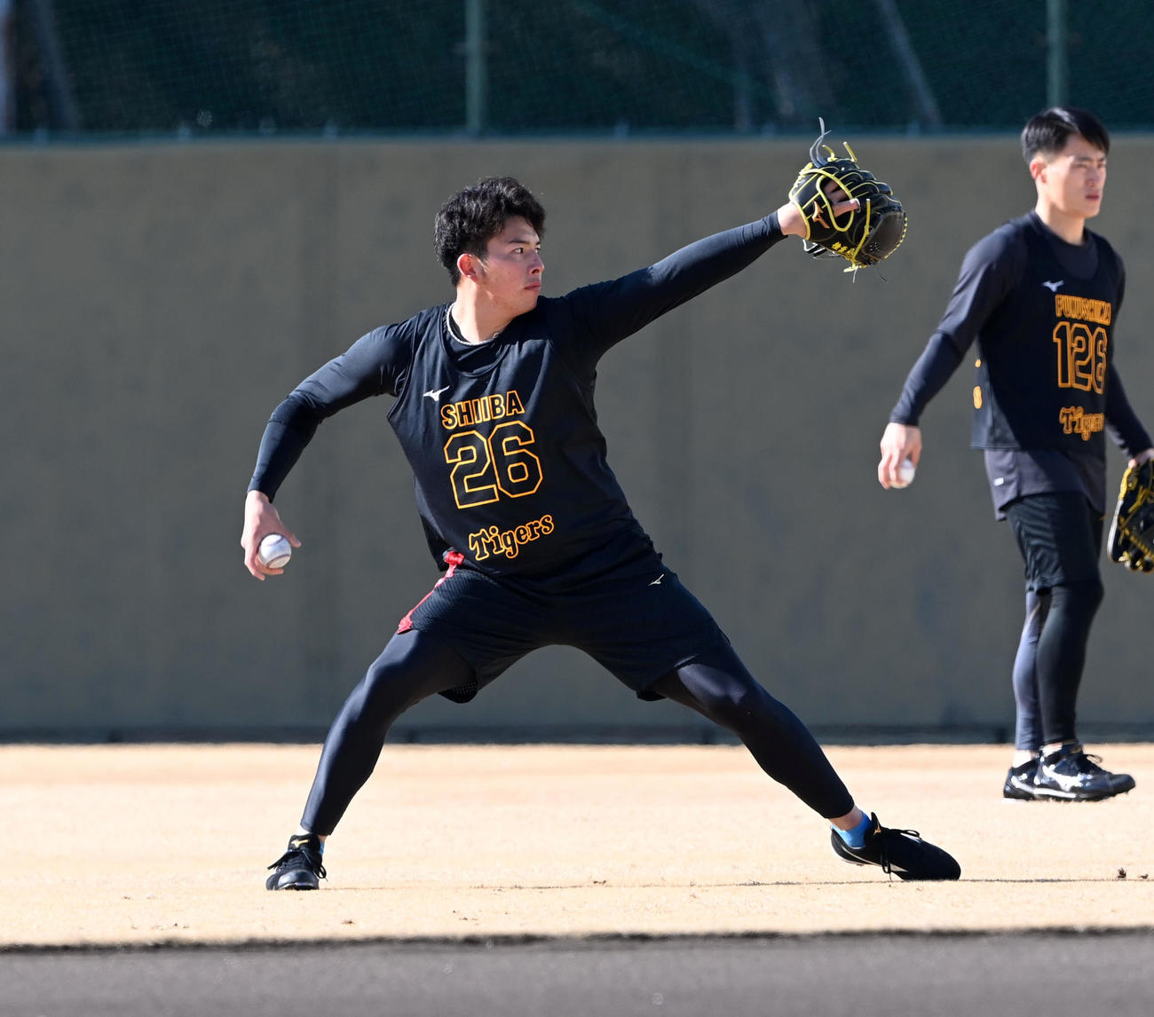 新人合同自主トレで力強いキャッチボールを行う阪神椎葉（撮影・前岡正明）
