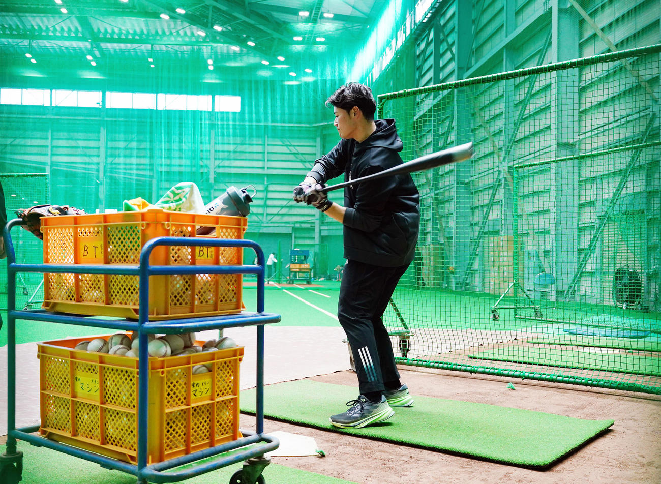 打撃練習をする日本ハム清宮（撮影・菅敏）