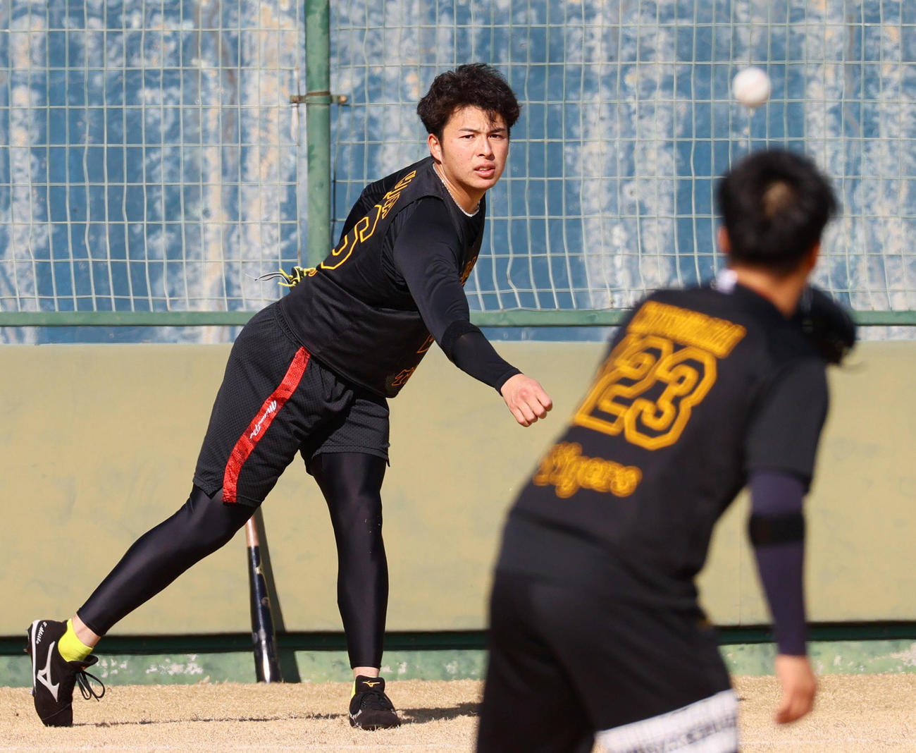 阪神新人合同自主トレでキャッチボールする椎葉（撮影・上山淳一）
