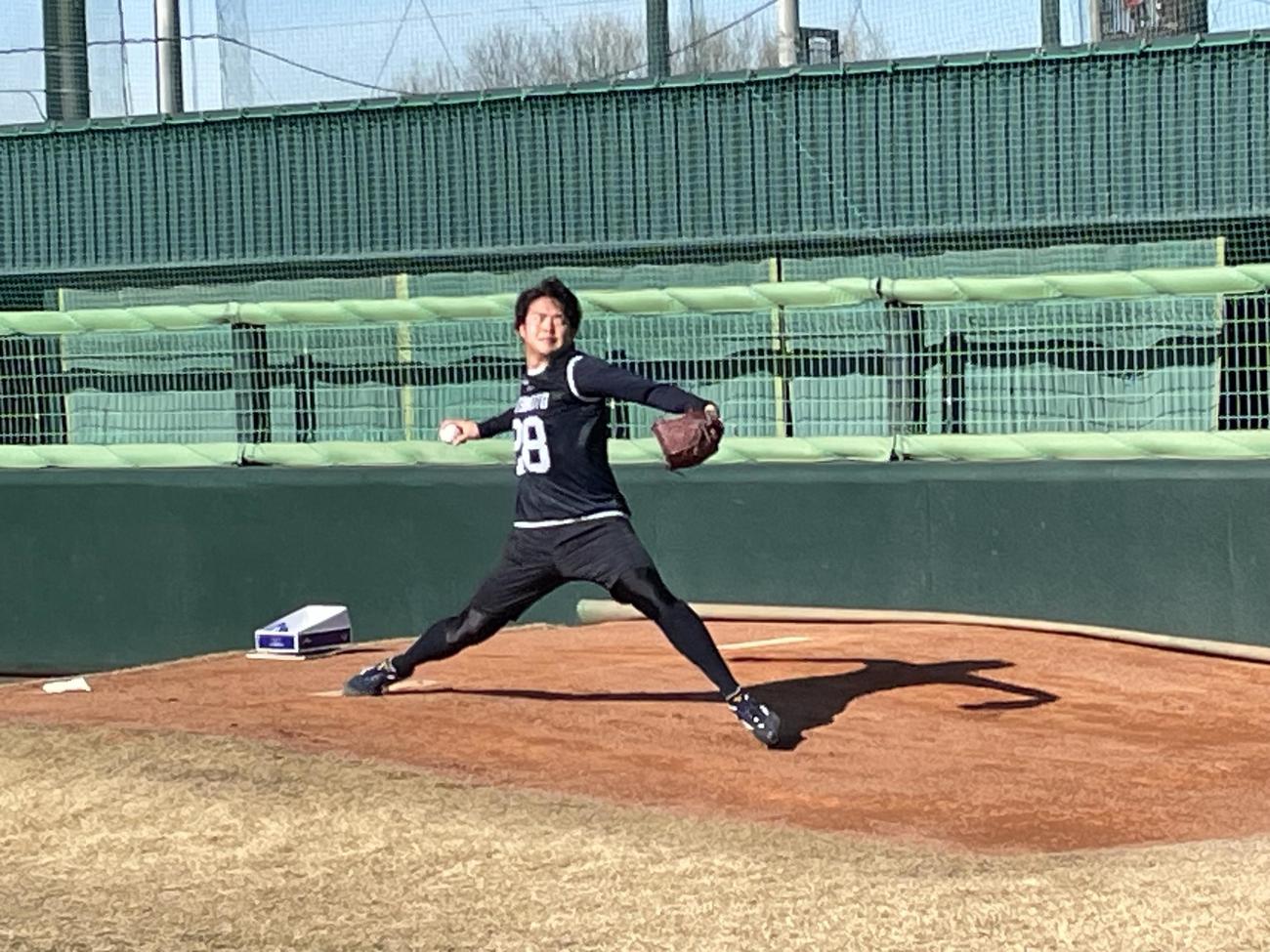 新人合同自主トレで初ブルペン入りしたヤクルトのドラフト2位松本健