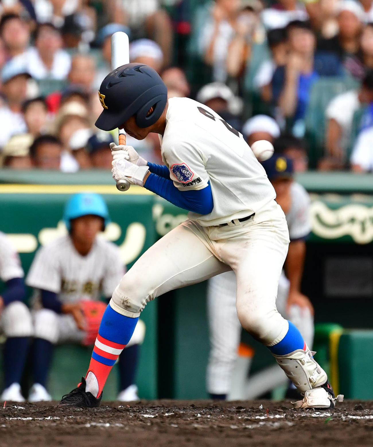 19年8月、明石商戦7回表で投球が体に当たる花咲徳栄・菅原