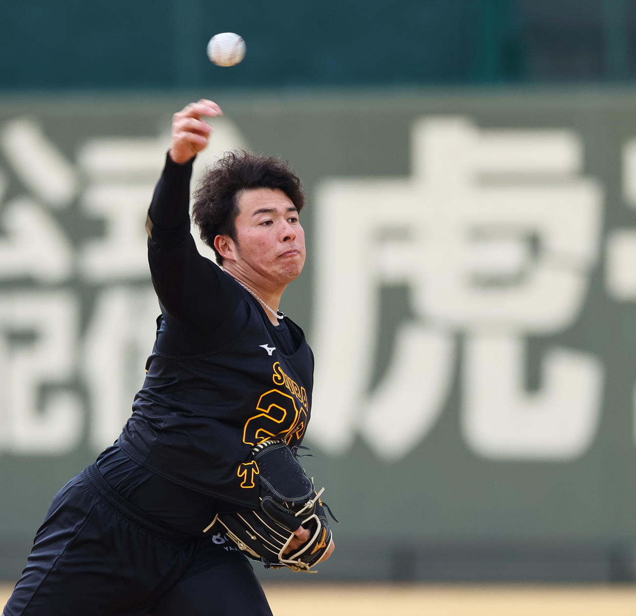 新人合同自主トレでキャッチボールをする阪神椎葉（撮影・上山淳一）