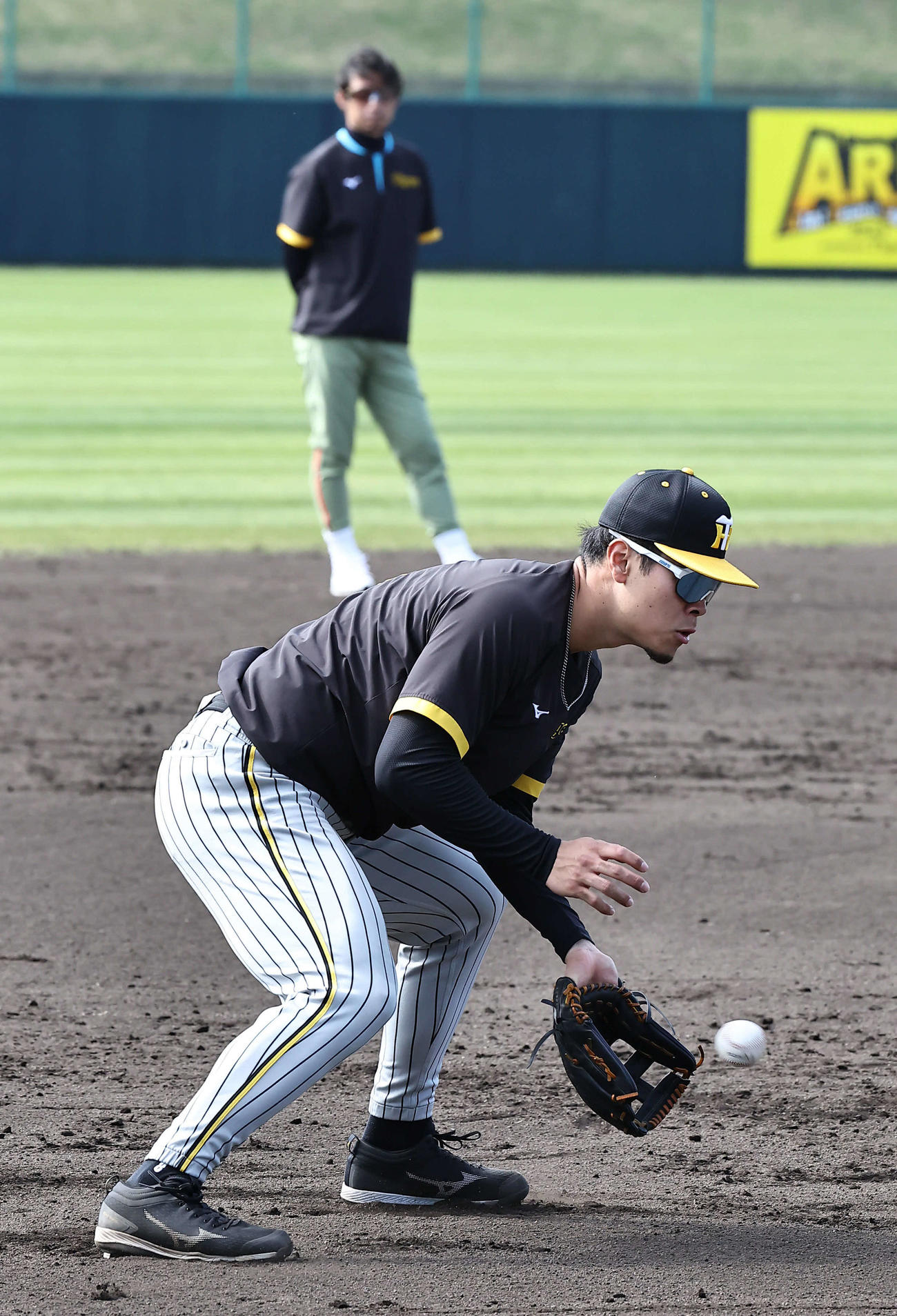 昨年のキャンプで鳥谷氏の前でノックを受ける佐藤輝