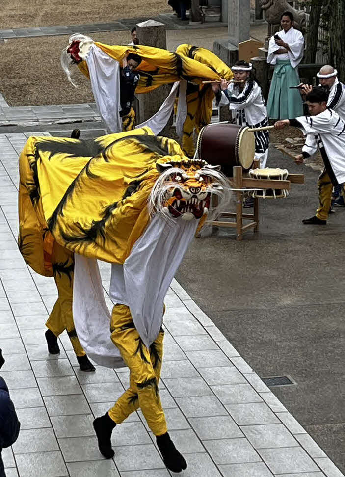 西宮市の広田神社で行われた阪神虎舞奉納演舞（撮影・中野椋）