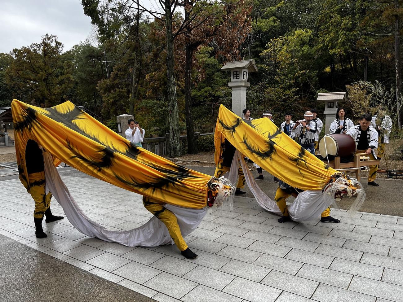 西宮市の広田神社で行われた阪神虎舞奉納演舞（撮影・中野椋）