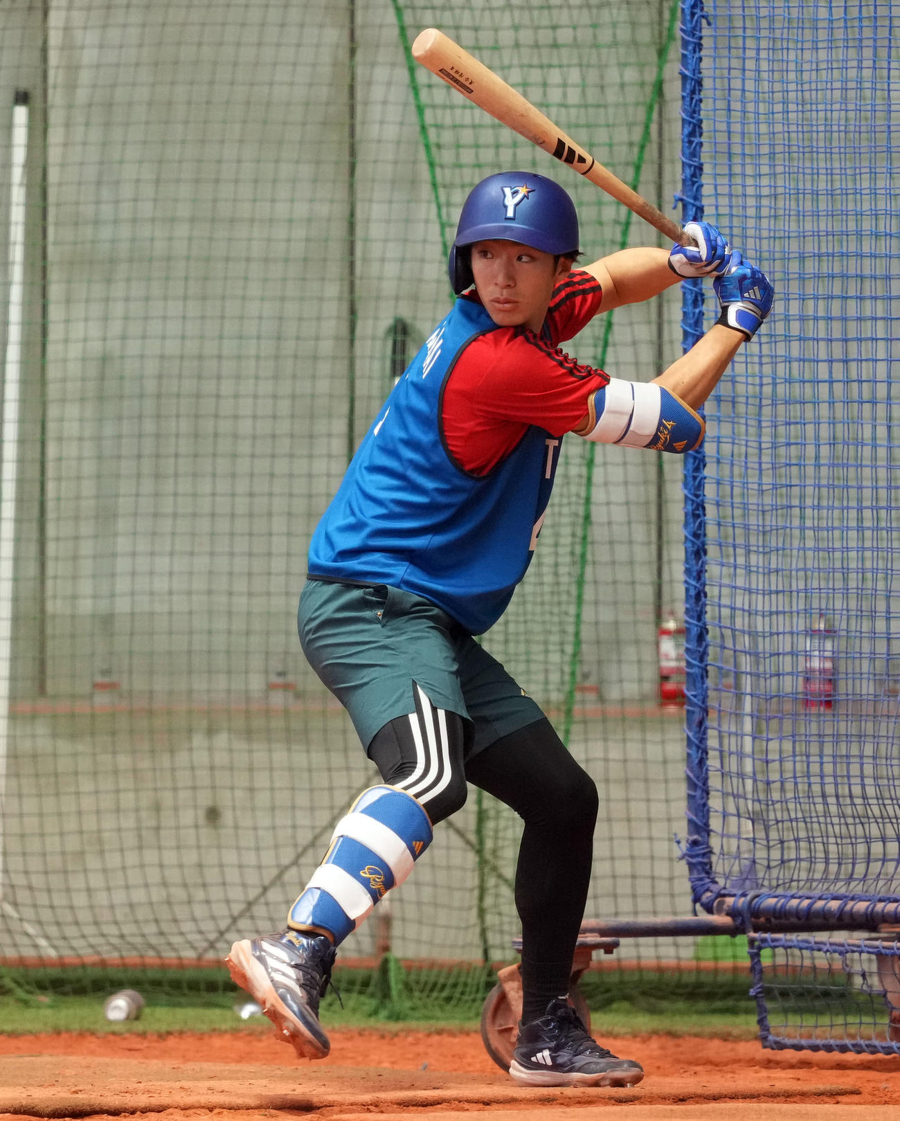 DeNA度会隆輝（2024年1月22日撮影）