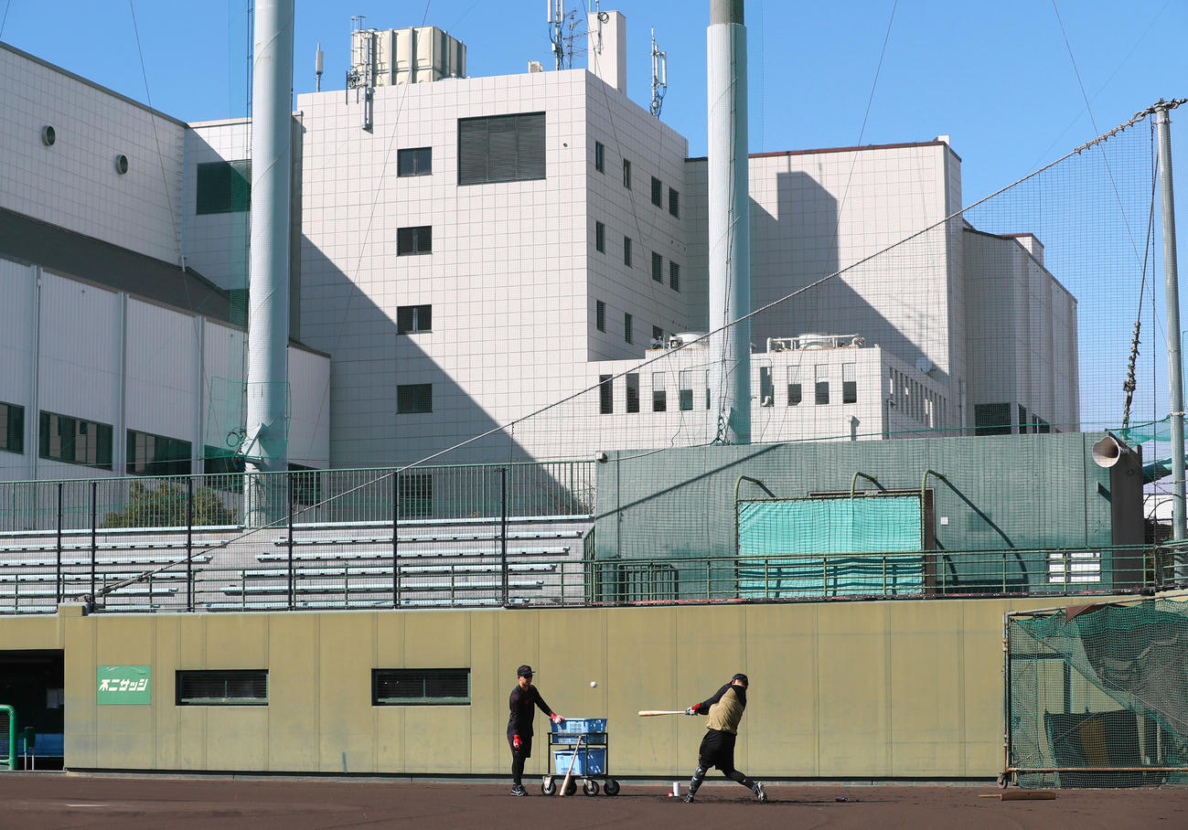 鳴尾浜球場で自主トレする阪神野口（撮影・上山淳一）