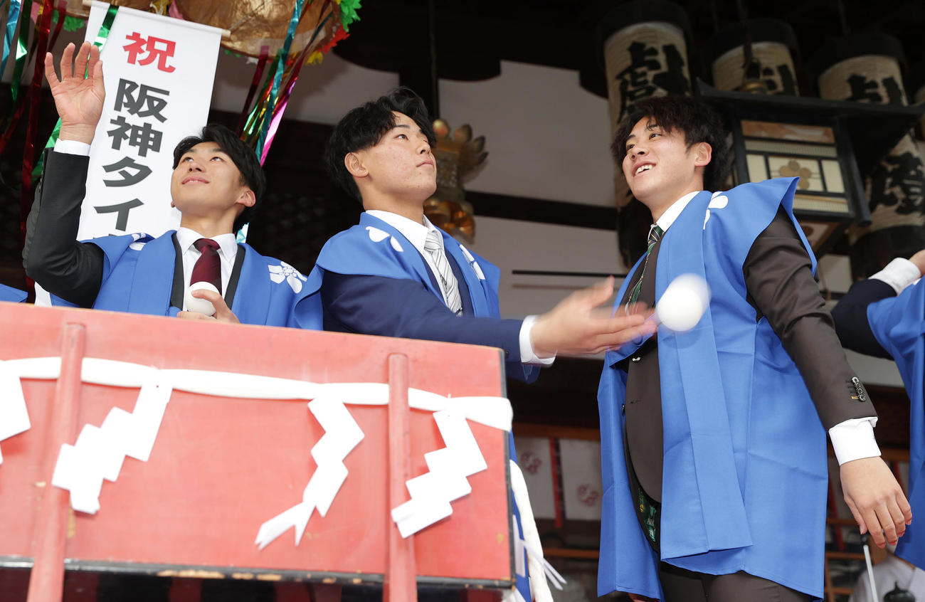 福玉まきを行う、左から阪神井坪、戸井、富田（撮影・前田充）