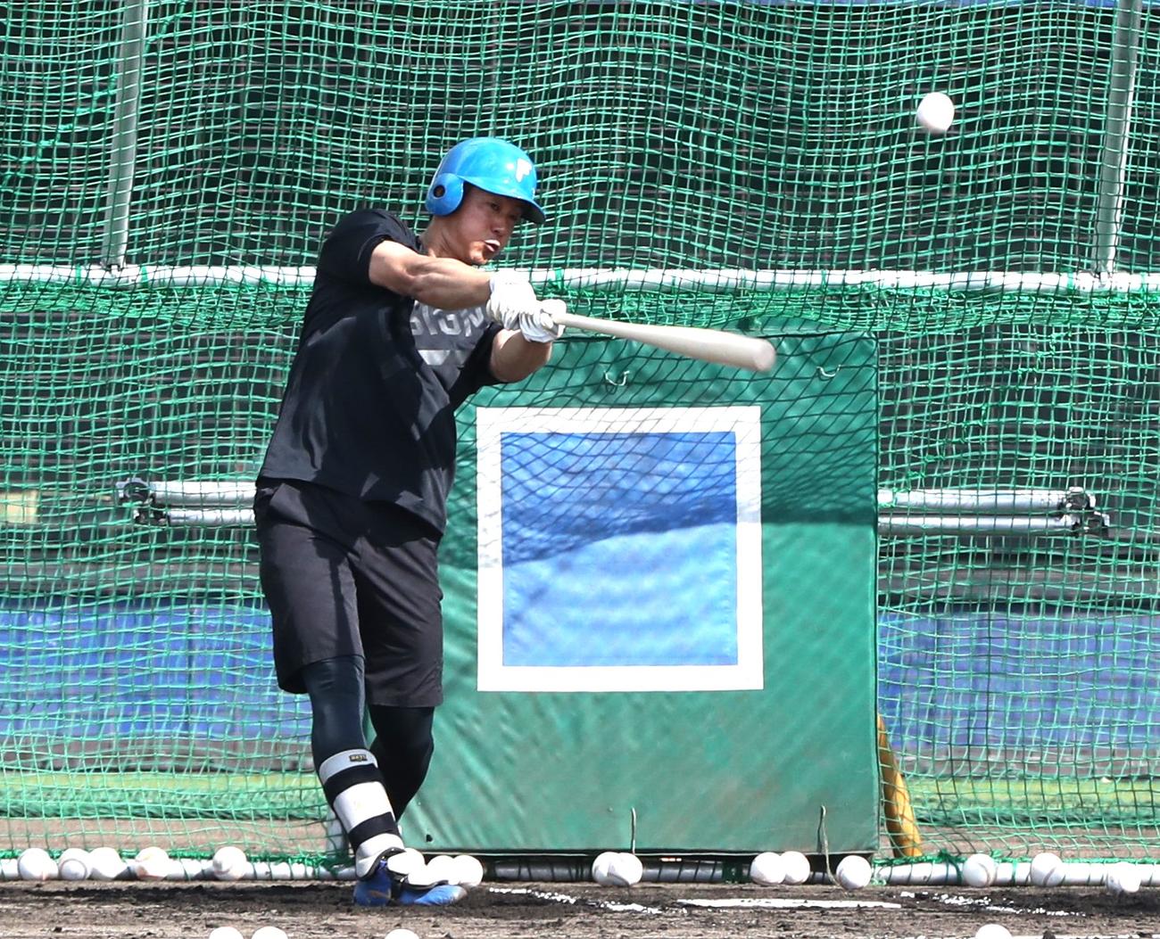 フリー打撃する日本ハム石井（撮影・黒川智章）