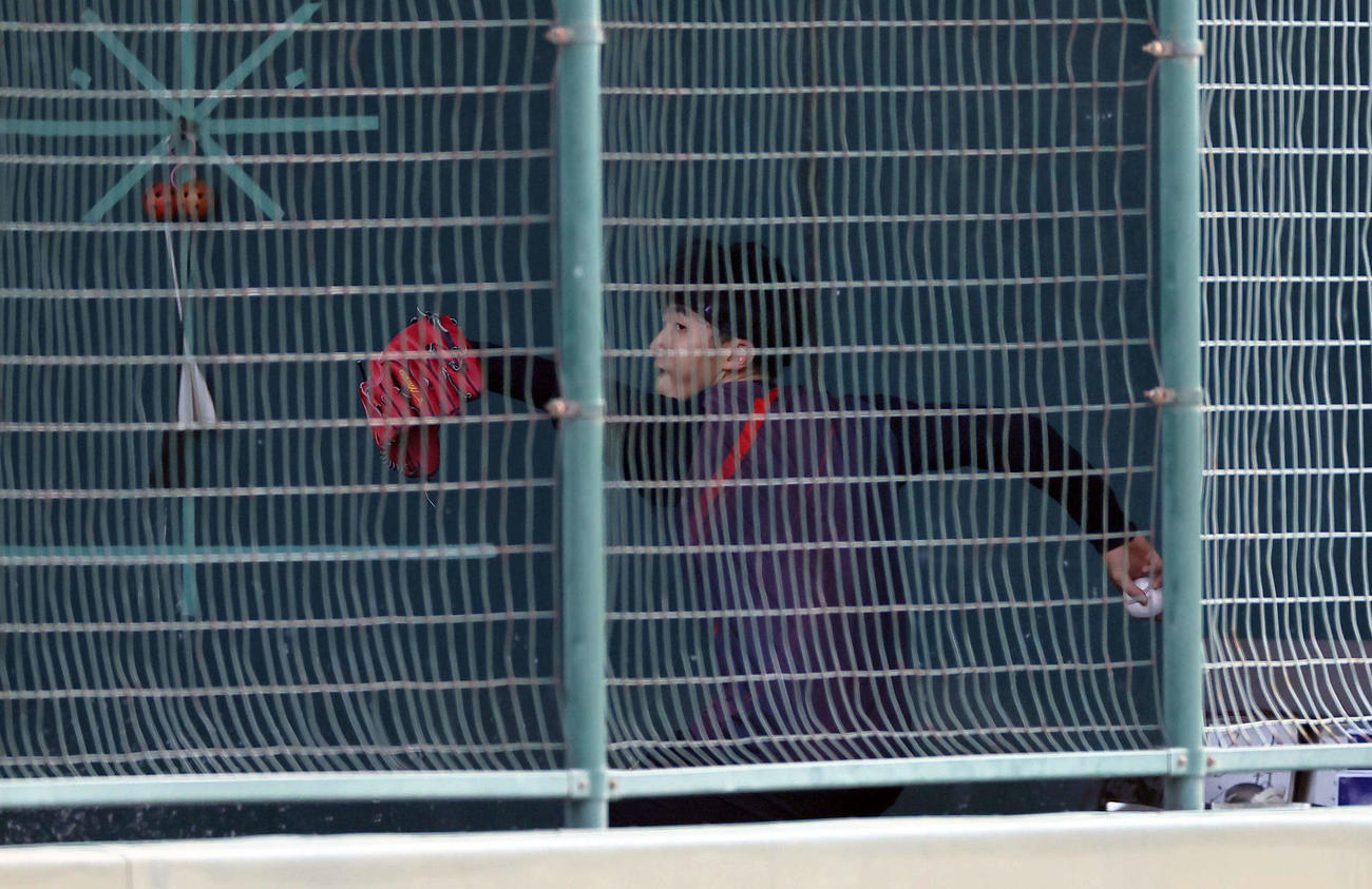 ブルペンで投球練習をする茨木（撮影・上田博志）