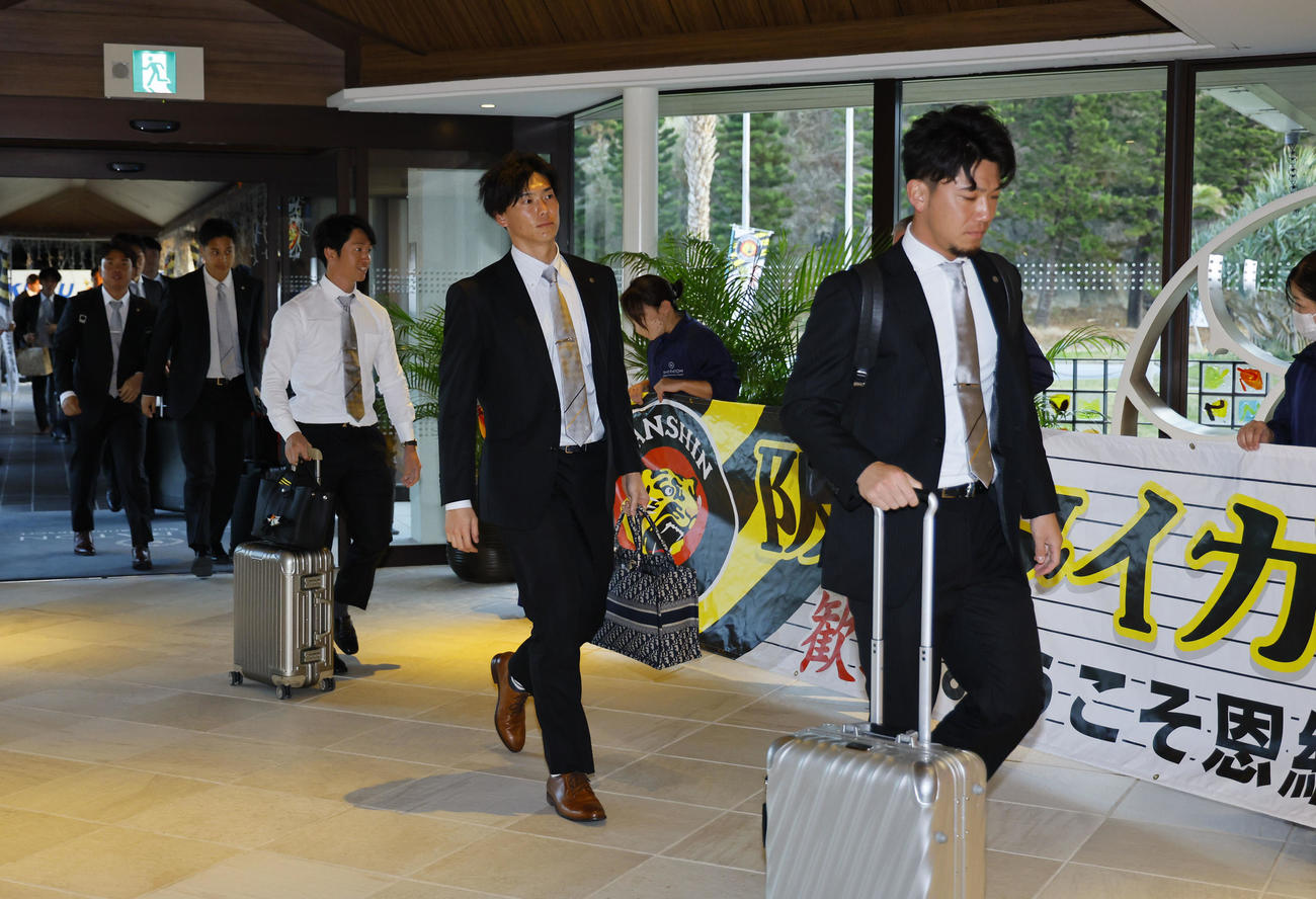 合同自主トレのため沖縄入りし、宿舎に到着した（手前から）伊藤将、湯浅、近本ら（撮影・藤尾明華）