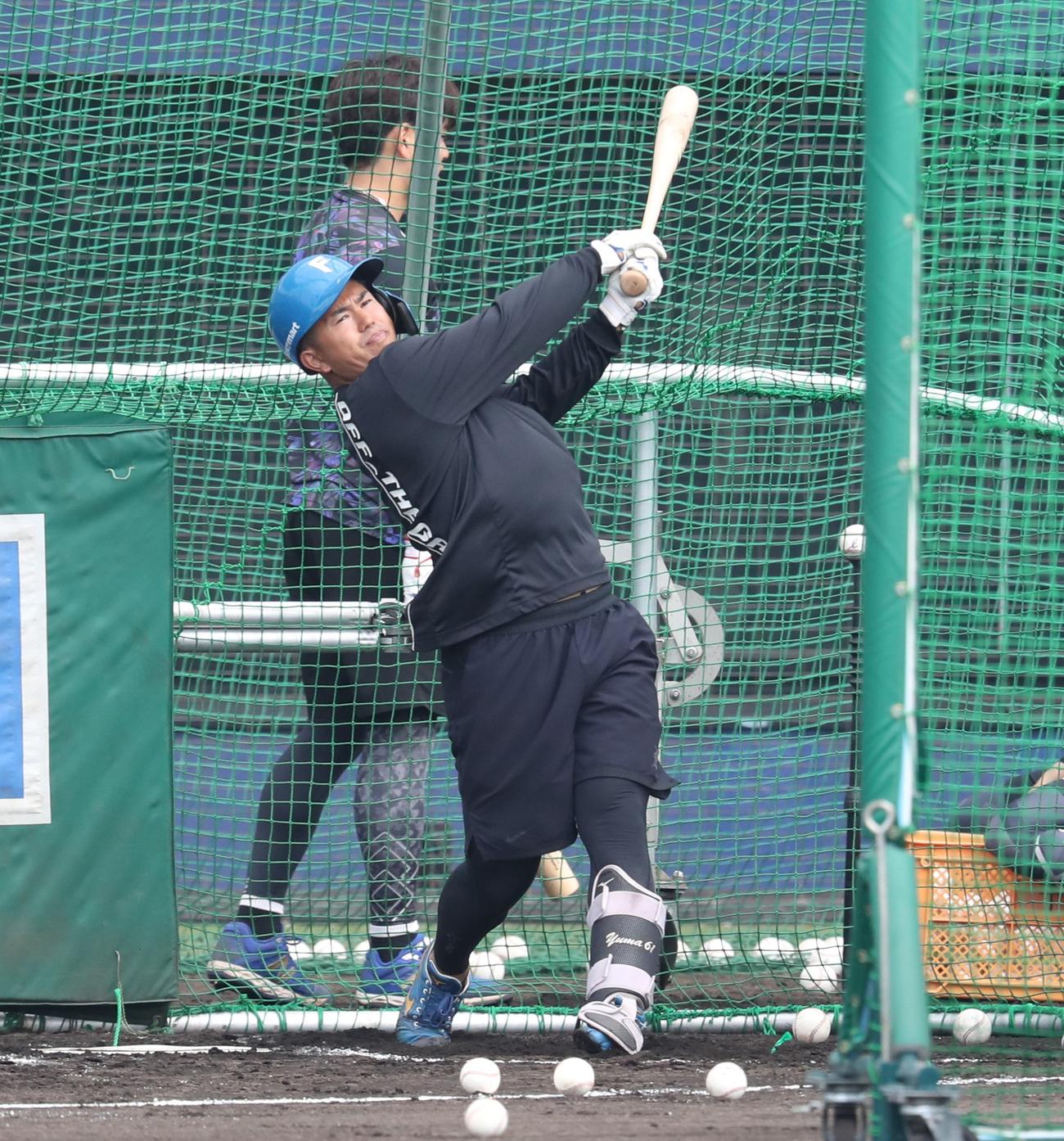 フリー打撃する日本ハム今川（撮影・黒川智章）